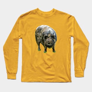 KuneKune just looking at You Long Sleeve T-Shirt